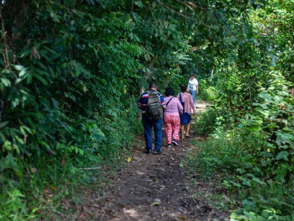 Lodge Amazonas - 5 Días y 4 Noches