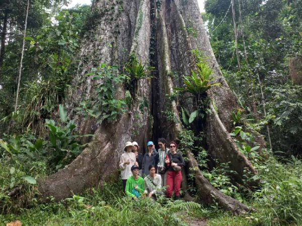 Vida Silvestre - Excursión de Día Completo