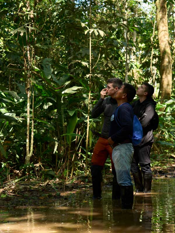 Grupo de visitantes en la Amazonía peruana observa el dosel selvático durante una caminata guiada en zona inundable.