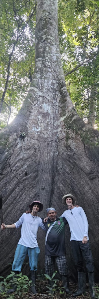 Grupo de personas frente a un árbol gigante con raíces expuestas en la selva amazónica, rodeados de vegetación tropical.