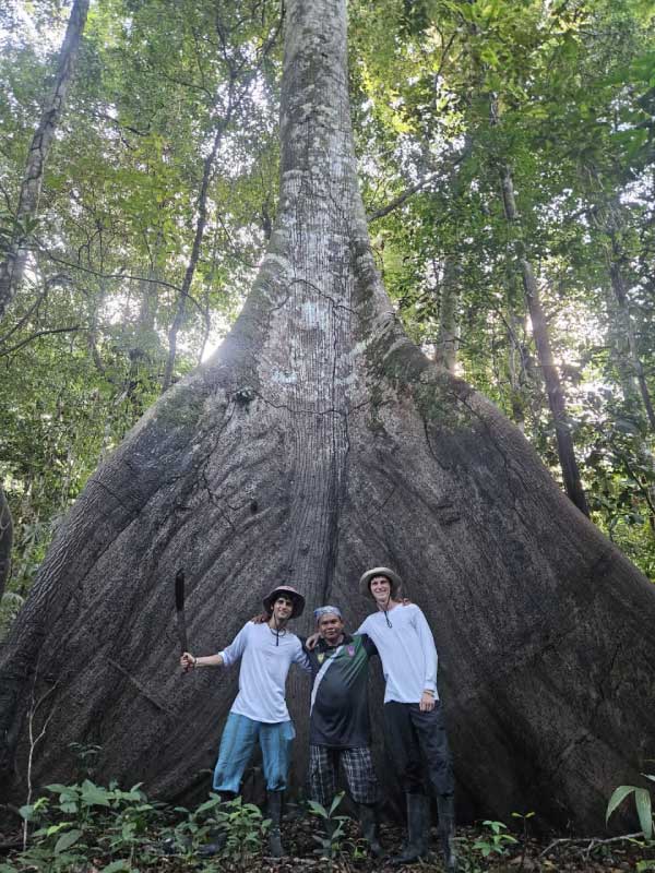 Grupo de personas frente a un árbol gigante con raíces expuestas en la Reserva Nacional Pacaya Samiria, rodeados de vegetación tropical.