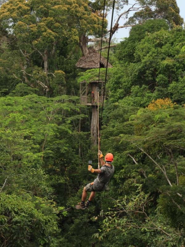 Canopy Extremo: Vuelo en Tirolesa sobre el Dosel de la Selva Amazónica